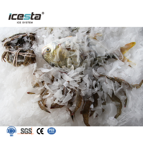 Mesin Es Flake Industri ICESTA 10 Ton Per Hari