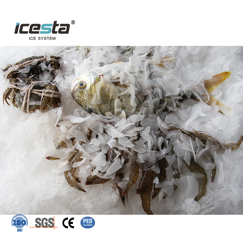 M&aacute;y l&agrave;m đ&aacute; vảy c&ocirc;ng nghiệp ICESTA 10 tấn mỗi ng&agrave;y