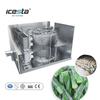 ICESTA Industrial Single Spiral Freezer para sa Seafood, Bagong Disenyo, Madaling Operasyon, Awtomatiko