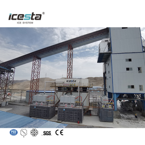 Containerized Flake ice plant na may Automatic ice storage at Delivery & Weighing System (All-In-One) 