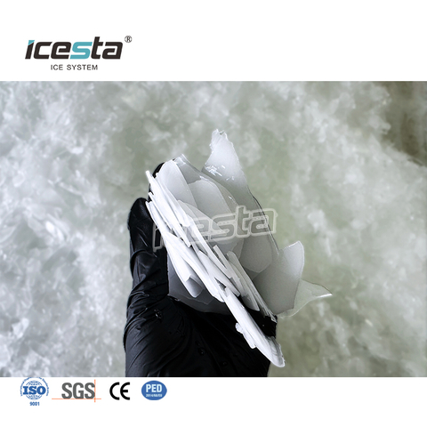 ICESTA 30 Ton Bawat Araw Flake Ice Machine Evaporator