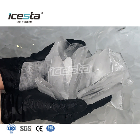 ICESTA 1 Ton High Quality Stainless Steel Plate Ice Machine na may PLC Control