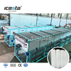 ICESTA เครื่องทำน้ำแข็งบล็อกระบายความร้อนโดยตรงอัตโนมัติเต็มรูปแบบ 40T/วัน