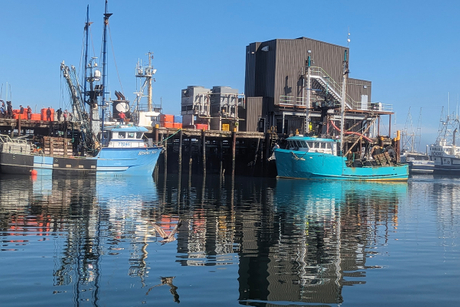Pesca Oce&acirc;nica-1.jpg