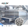 Linha de processamento ICESTA Iqf congelador de t&uacute;nel de congelamento r&aacute;pido criog&ecirc;nico autom&aacute;tico Durian para a ind&uacute;stria de transforma&ccedil;&atilde;o de alimentos