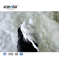 ICESTA 500kg 0.5Ton Commercial Flake Ice Machine | Para sa Isda at Seafood
