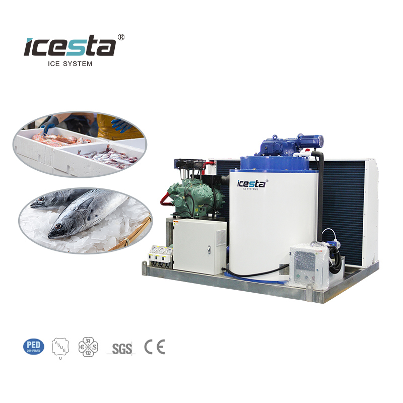 1 Ton 2 Ton 3 Ton 5 Ton Flake Ice Machine | Tagagawa ng ICESTA