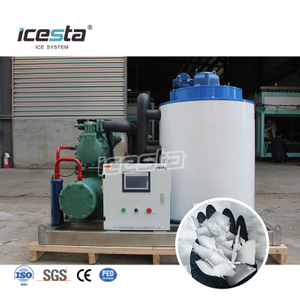 5t Magandang Kalidad Commercial Flake Ice Machine | Tagagawa ng ICESTA